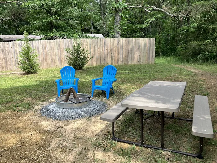 tiny PINECONE CAMP 2