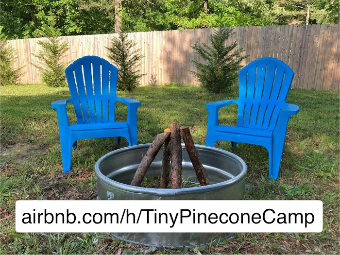 tiny PINECONE CAMP 5