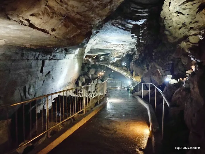 Cathedral Caverns State Park Campground 3