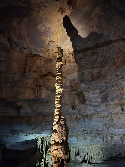 Cathedral Caverns State Park Campground 8