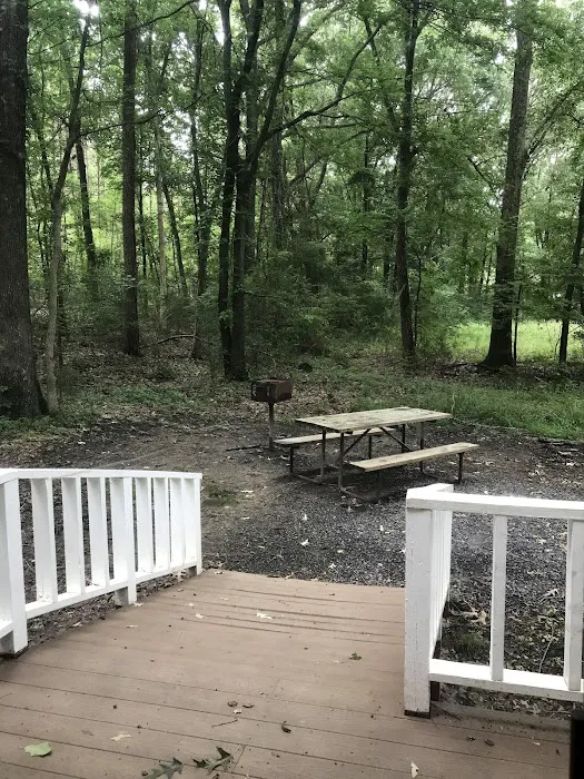 Little Mountain Marina-Camping 6