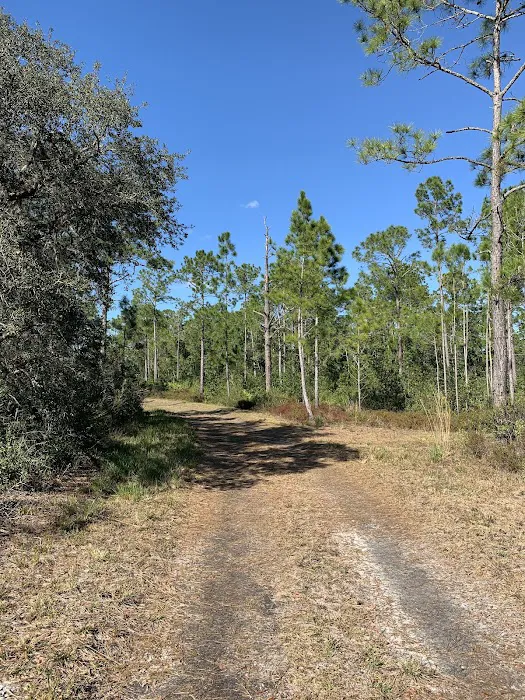 Huckleberry Island Campsite 2