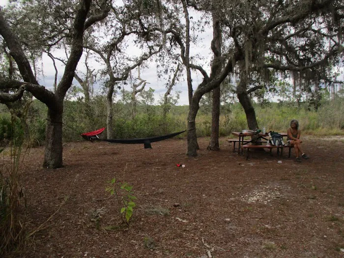 Huckleberry Island Campsite 3