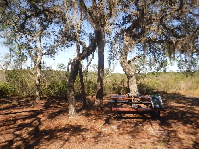 Huckleberry Island Campsite 10