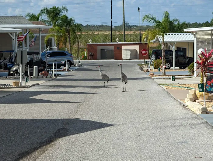 Blue Heron Bay 7