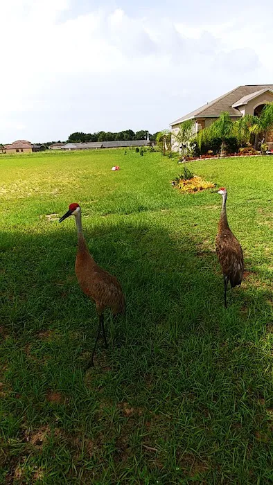 Blue Heron Bay 8