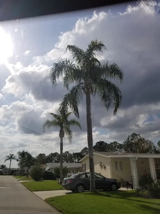 Blue Heron Bay 10