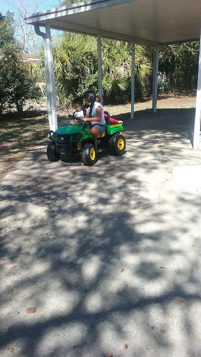 Williams Park 2