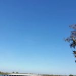 El Tonteria Mobile Court