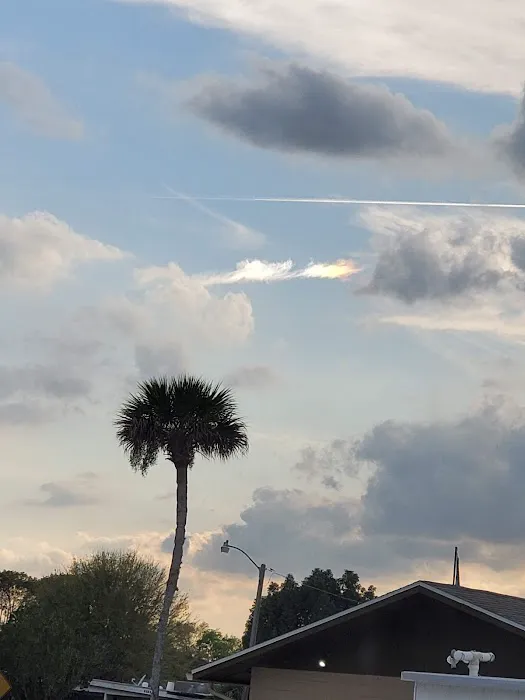 Manatee Hammock Campground 1