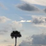 Manatee Hammock Campground