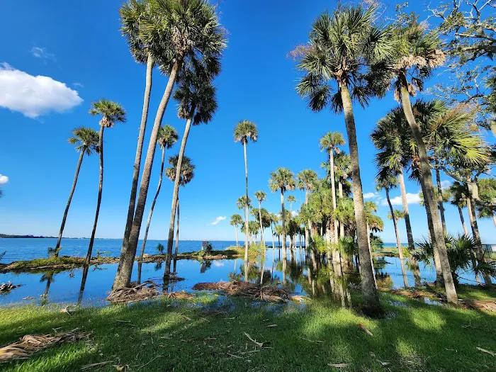 Manatee Hammock Campground 2