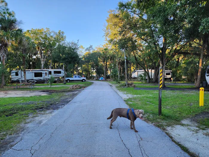 Manatee Hammock Campground 5