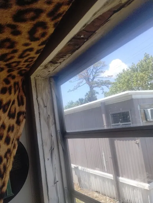 Indian River Mobile Homes 4