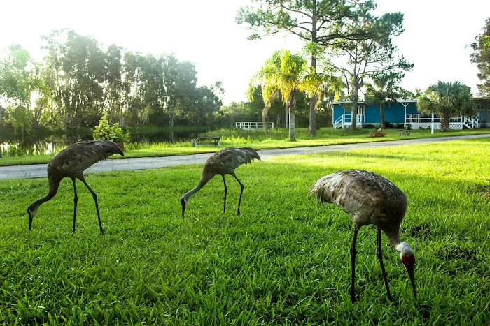 Rose Bay Landing Mobile Home Park 6