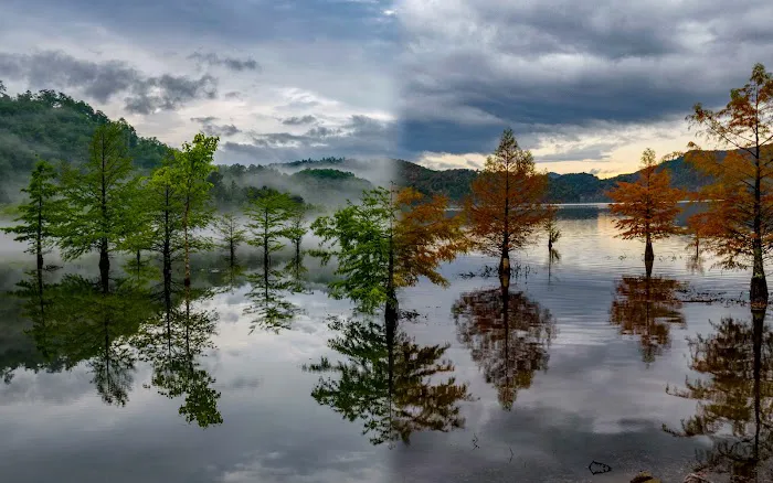 Chilhowee Group Camp 1