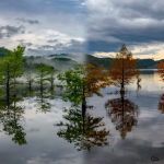 Chilhowee Group Camp