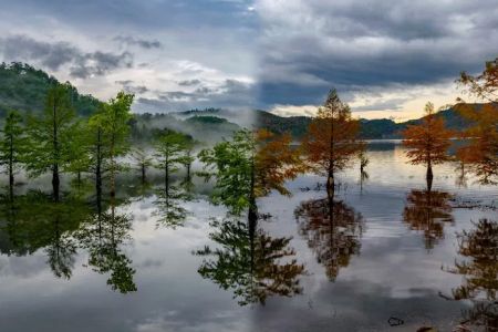 Chilhowee Group Camp