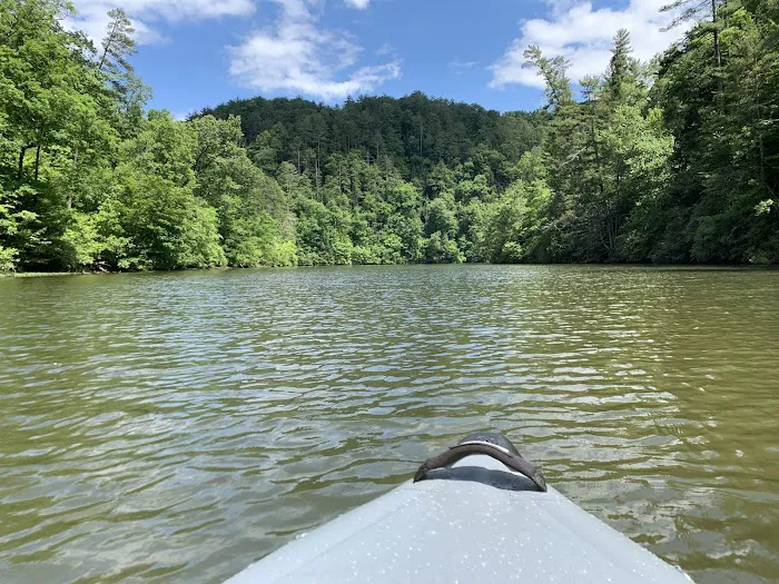 Chilhowee Group Camp 4