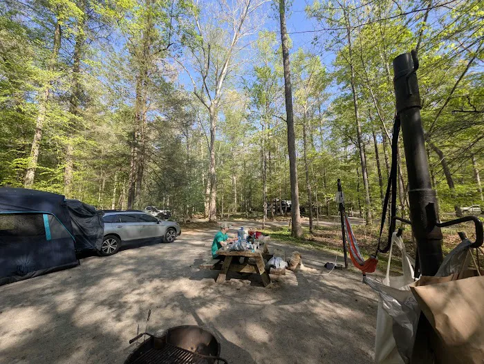 Chilhowee Group Camp 11