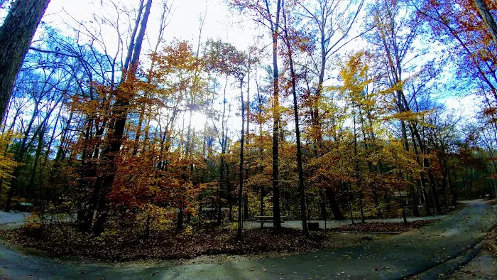 Chilhowee Group Camp 17
