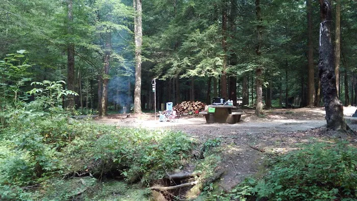 Chilhowee Group Camp 19