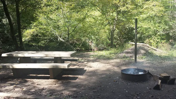 Chilhowee Group Camp 21