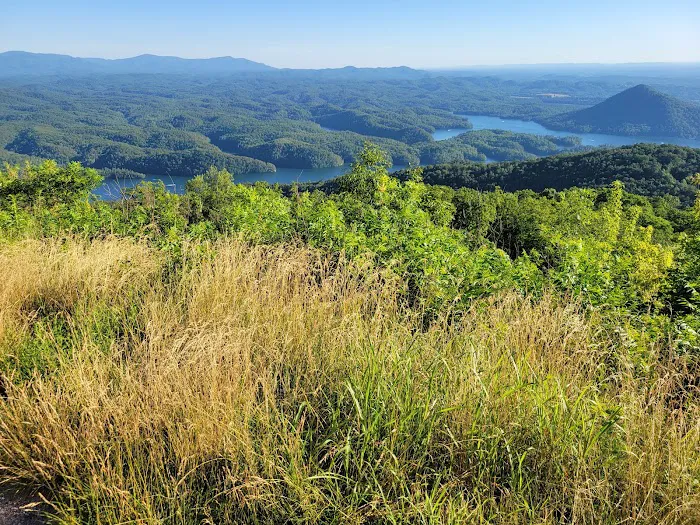 Chilhowee Group Camp 26