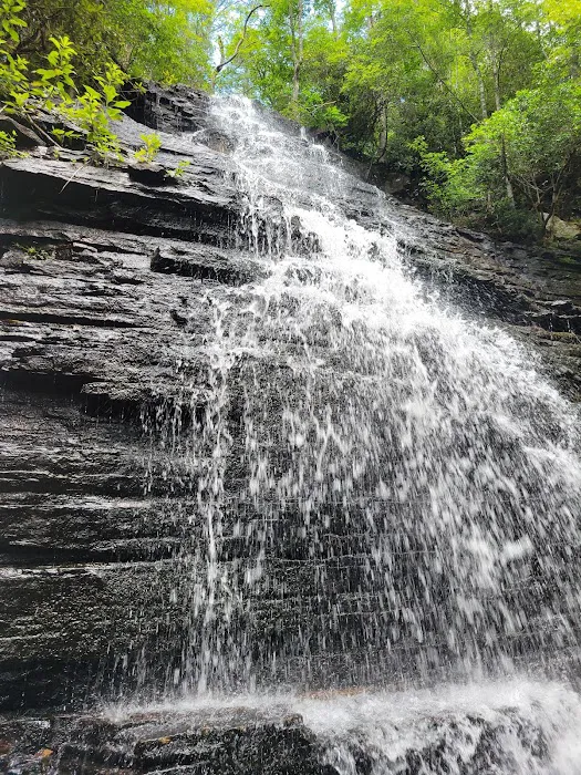 Chilhowee Group Camp 28