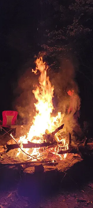 Chilhowee Group Camp 29