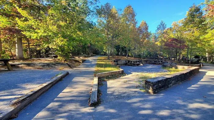 Chilhowee Group Camp 31