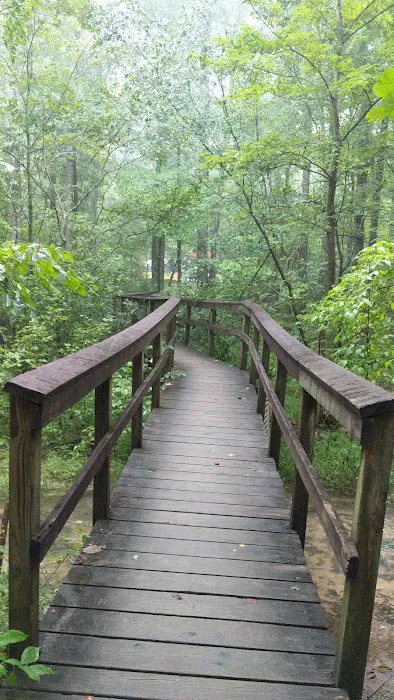 Chilhowee Campground 3