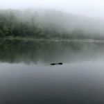 Chilhowee Campground