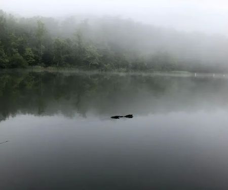 Chilhowee Campground