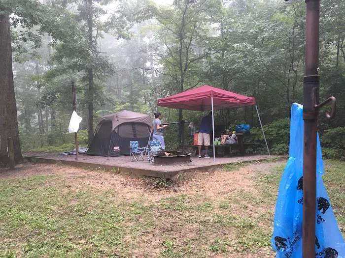 Chilhowee Campground 4