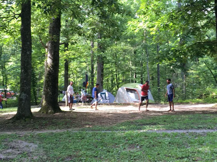 Chilhowee Campground 5