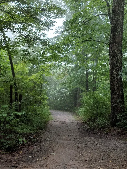 Chilhowee Campground 6