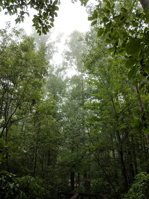 Chilhowee Campground 9