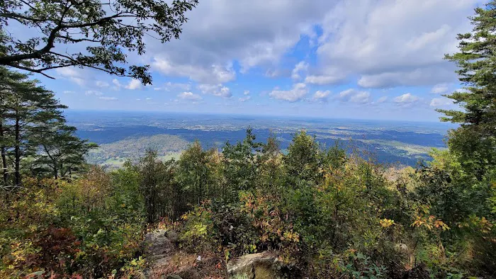 Chilhowee Campground 10