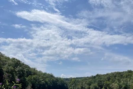 Hammer's Hideaway Campground