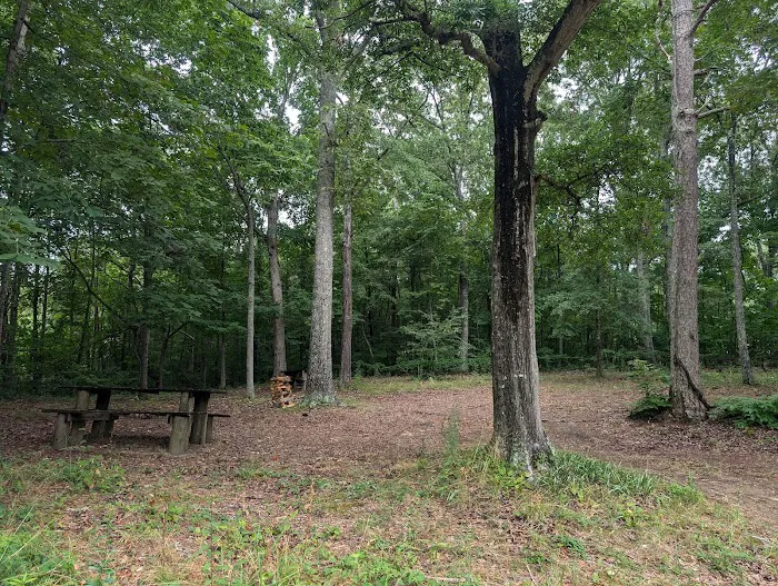 Ocoee River Experience, LLC 10