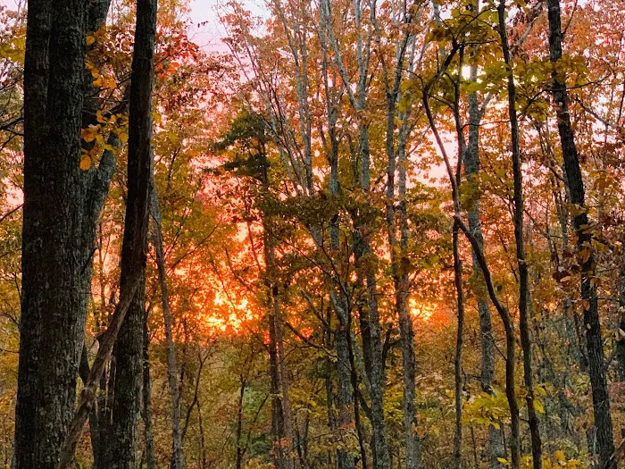 Smith Mountain Camping 1