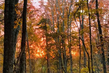 Smith Mountain Camping