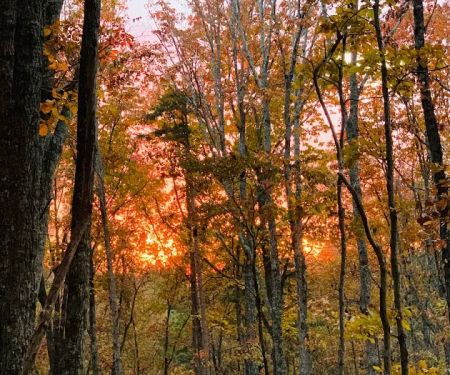 Smith Mountain Camping