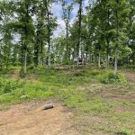 Overland Camping