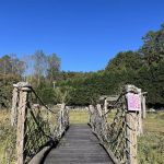 Owl Creek Farm Resort