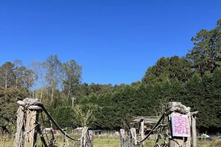 Owl Creek Farm Resort