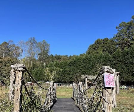 Owl Creek Farm Resort