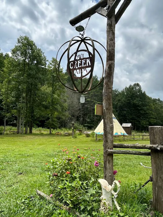 Owl Creek Farm Resort 5