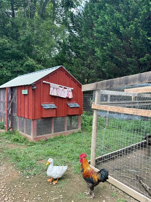 Owl Creek Farm Resort 8